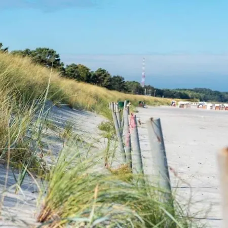 Sanddorn Breege- Zwischen Bodden &