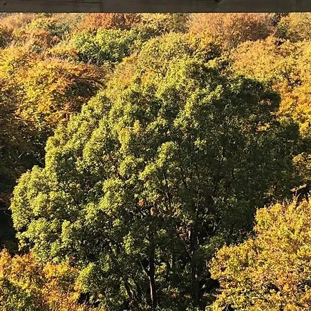 Sanddorn Breege- Zwischen Bodden & *