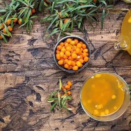 بيت للعطل Sanddorn Breege- Zwischen Bodden & *