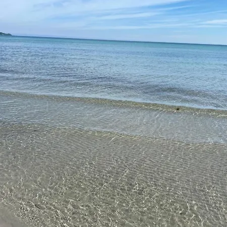 Sanddorn Breege- Zwischen Bodden &