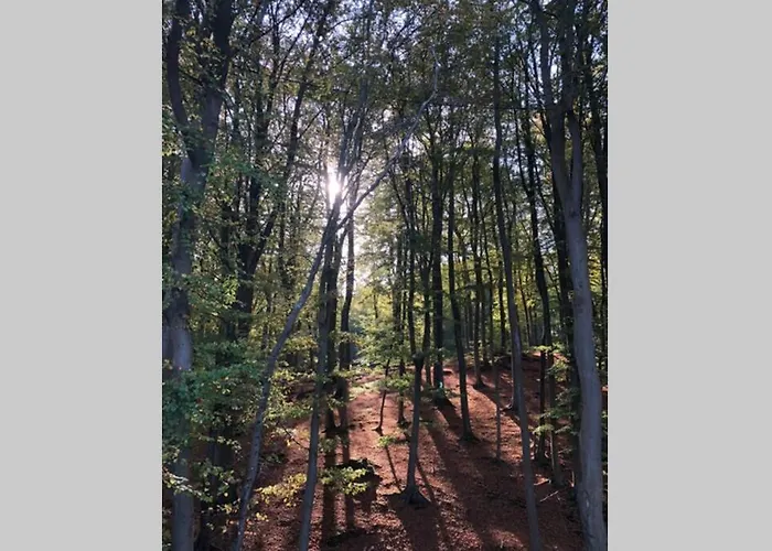 Sanddorn Breege- Zwischen Bodden &