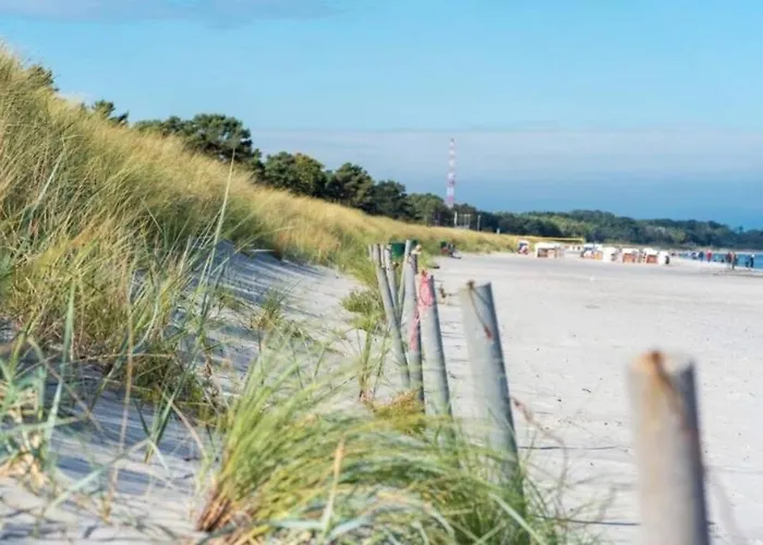 Sanddorn Breege- Zwischen Bodden &