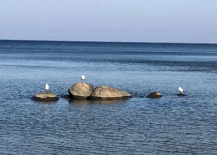 Sanddorn Breege- Zwischen Bodden & *