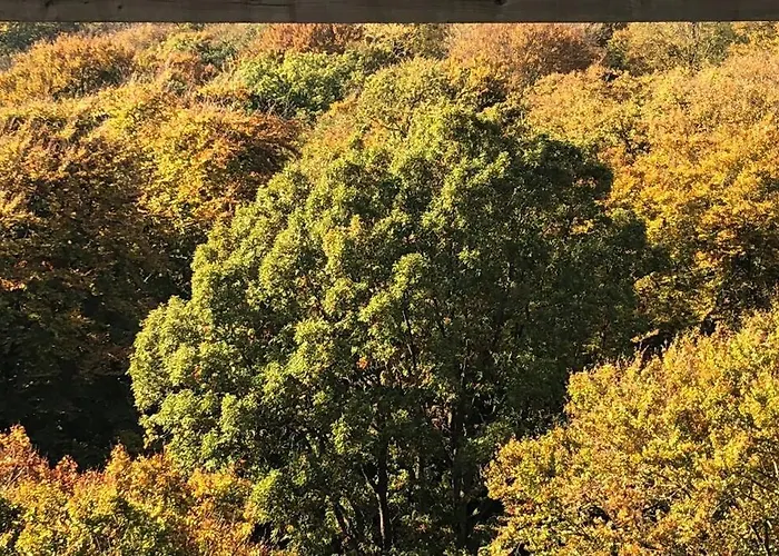 Sanddorn Breege- Zwischen Bodden & *