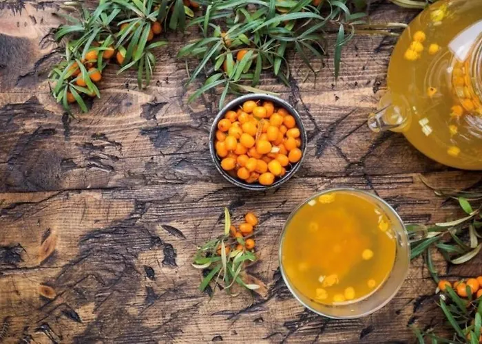 Casa de Férias Sanddorn Breege- Zwischen Bodden & *