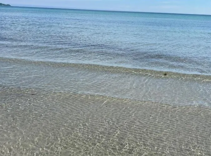 Sanddorn Breege- Zwischen Bodden &